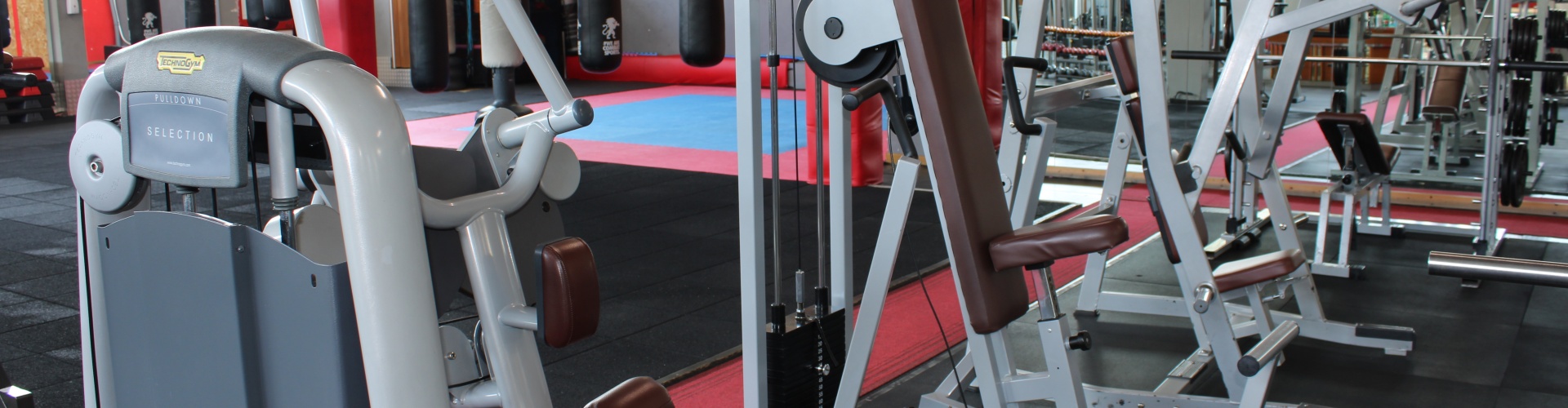 Palestra fitness, allenamento funzionale, circuito spartan, prepugilistica, hip hop, pilates, boxe, body building, attivit sportiva, ginnastica, corsi di pugilato, kick boxing