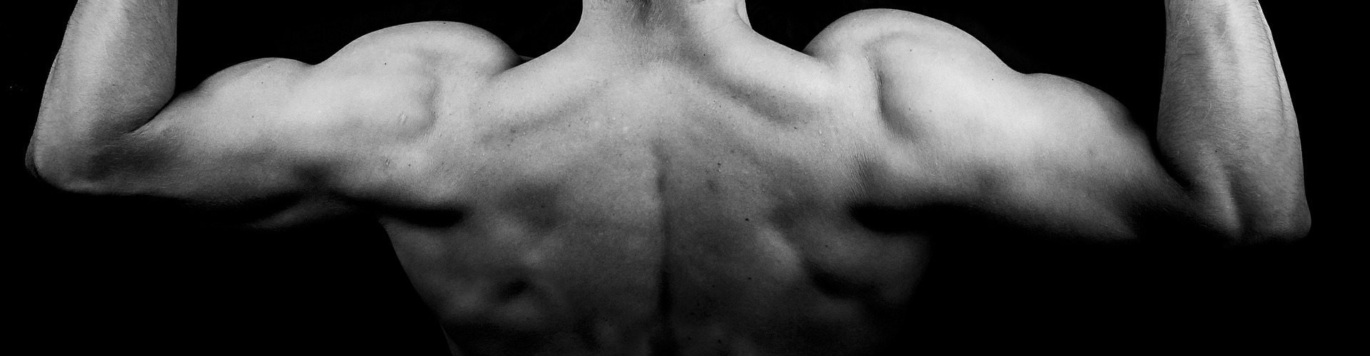 Palestra fitness, allenamento funzionale, circuito spartan, prepugilistica, hip hop, pilates, boxe, body building, attivit sportiva, ginnastica, corsi di pugilato, kick boxing